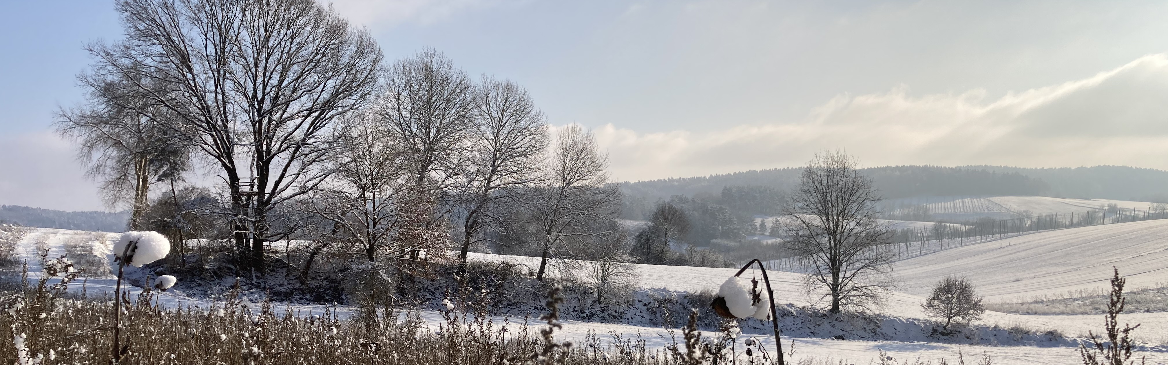 (c) K Sturm – Slider Winterwunderland Prärie