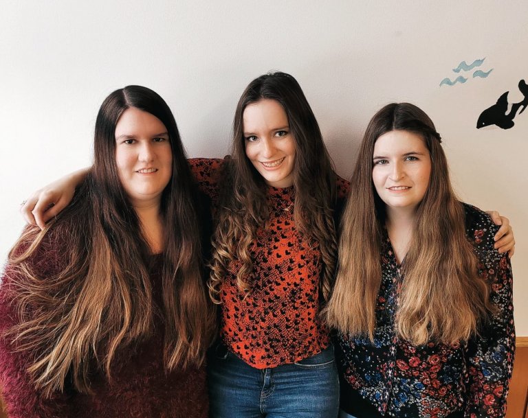Marienkäfer Gruppenbild