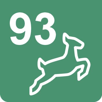 Nr. 93 Wanderweg, Nordic Walking - 6,1 km