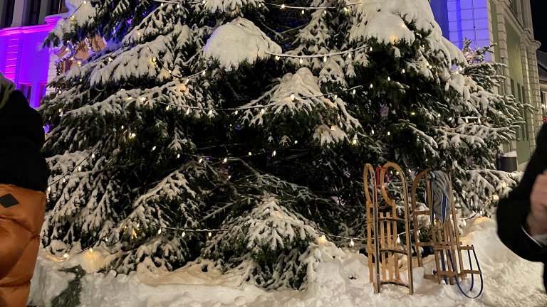 Parkender Schlitten am Baum